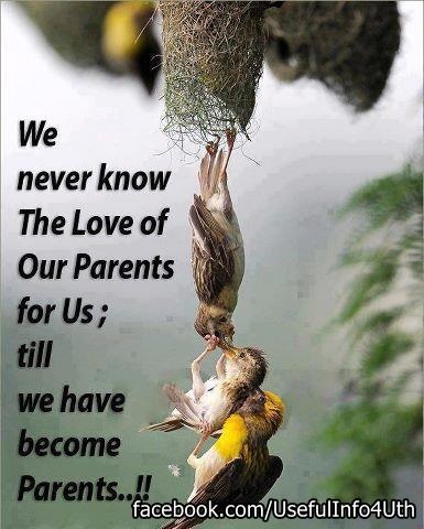 Love of Our Parents